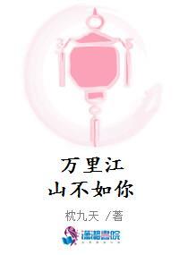 万里江山不如你封面
