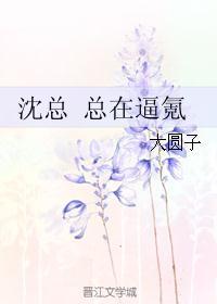 沈总总在逼氪封面