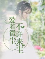 爱若微尘，不许来生封面