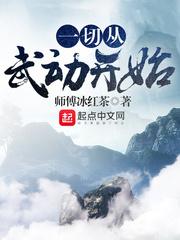 一切从武动开始封面