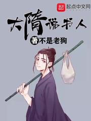 大隋说书人封面