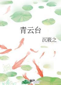 青云台txt沈筱之封面