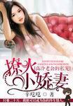 独家宠婚：高冷老公呆萌妻封面