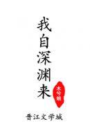 我自深渊来封面