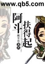 阿斗扶得起封面