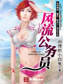 风流公务员封面