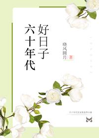 六十年代好日子封面