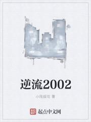 逆流2002封面