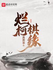 烂柯棋局封面