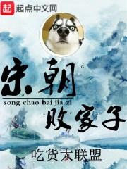 宋朝败家子封面