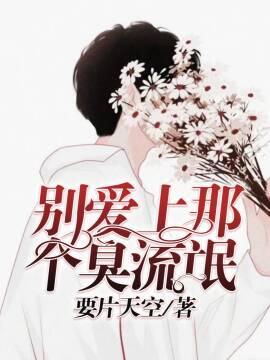别爱上那个臭流氓封面