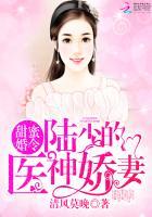 遥望行止封面