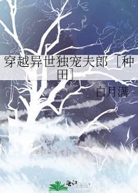 穿越异世独宠夫郎［种田］封面