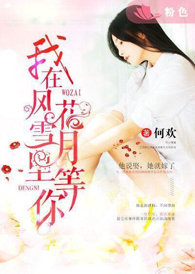 我在风花雪月里等你封面