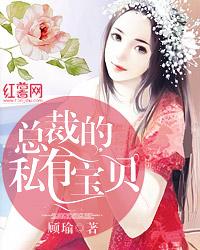 总裁的私有宝贝封面
