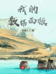 我的数据面板封面