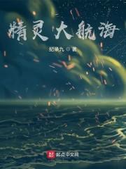 精灵大航海封面
