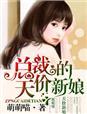 我当上门女婿的那些年封面