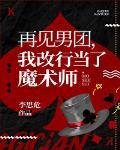 再见男团，我改行魔术大师封面