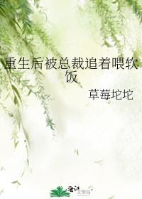 重生后被总裁追着喂软饭封面