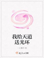 我给天道送光环封面