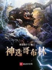 神选哥布林封面