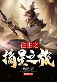 往生之摘星之旅封面