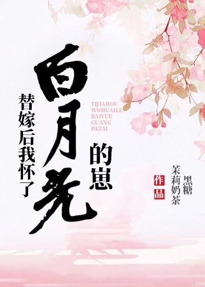 替嫁后我怀了白月光的崽封面