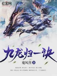 九九归一诀封面
