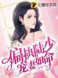 偏执陆少宠妻如命封面