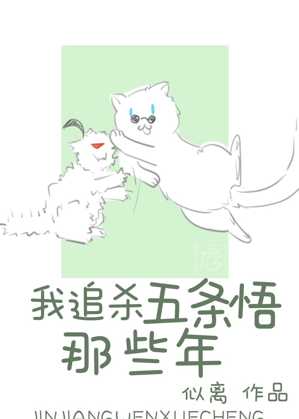 我追杀5T5那些年封面