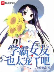 李子阳夏明乔封面