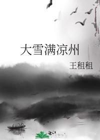 大雪满凉州封面