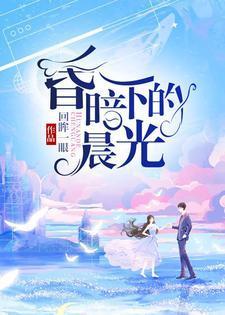 昏暗下的晨光封面