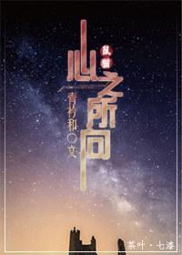 心之所向封面