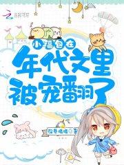 小福包在年代文里被宠翻了封面