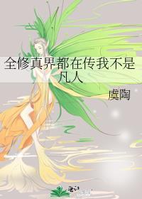 全修真界都在传我不是凡人封面