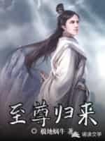 至尊归来封面