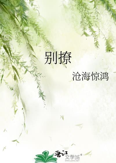 别撩封面