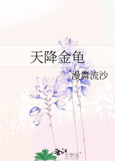 天降金龟封面