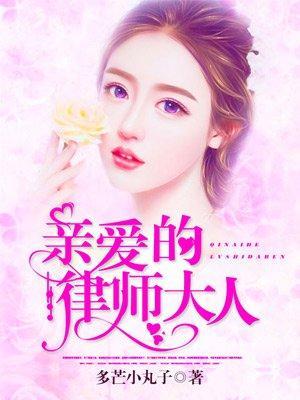 亲爱的律师大人封面