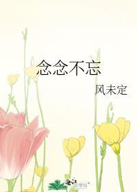 念念不忘封面