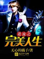 逆流之完美人生封面