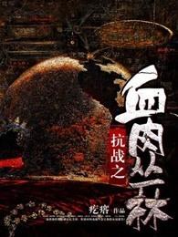 抗战之血肉丛林封面