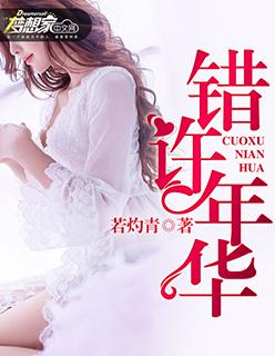 错许年华封面