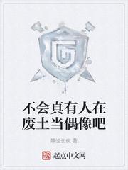 不会真有人在废土当偶像吧封面