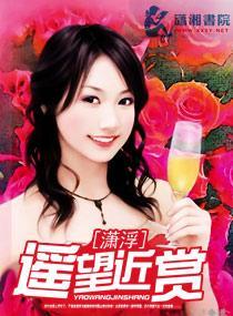 遥望近赏封面