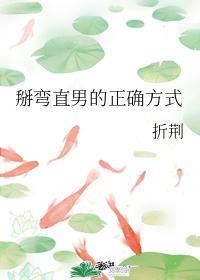 掰弯直男的正确方式封面