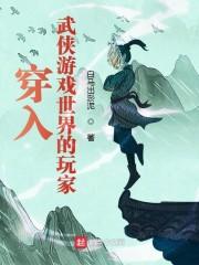 穿入武侠游戏世界的玩家封面