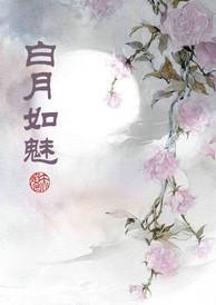 白月如魅封面